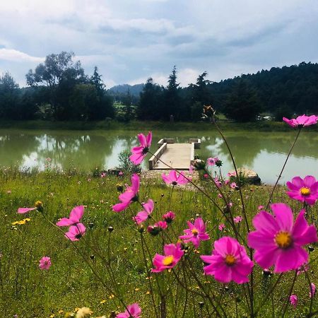 Cabanas Tapalpa Sierra Del Tecuan, Cabana Lince Εξωτερικό φωτογραφία