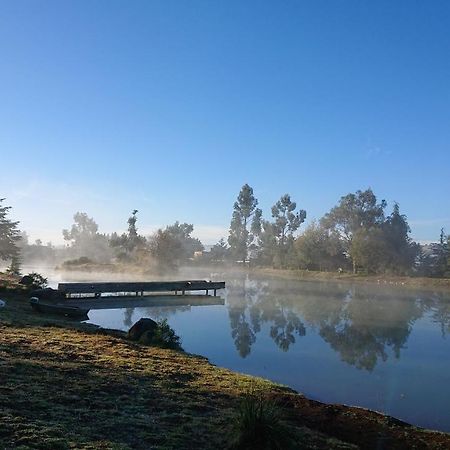 Cabanas Tapalpa Sierra Del Tecuan, Cabana Lince Εξωτερικό φωτογραφία