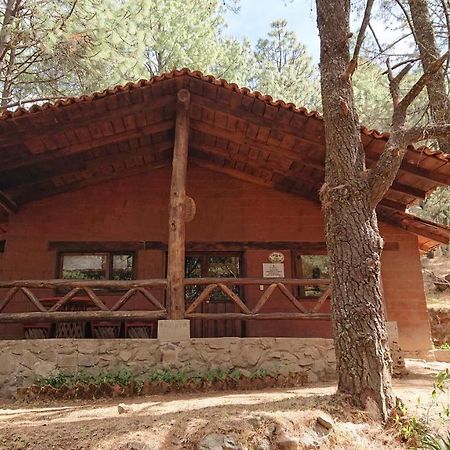 Cabanas Tapalpa Sierra Del Tecuan, Cabana Lince Εξωτερικό φωτογραφία