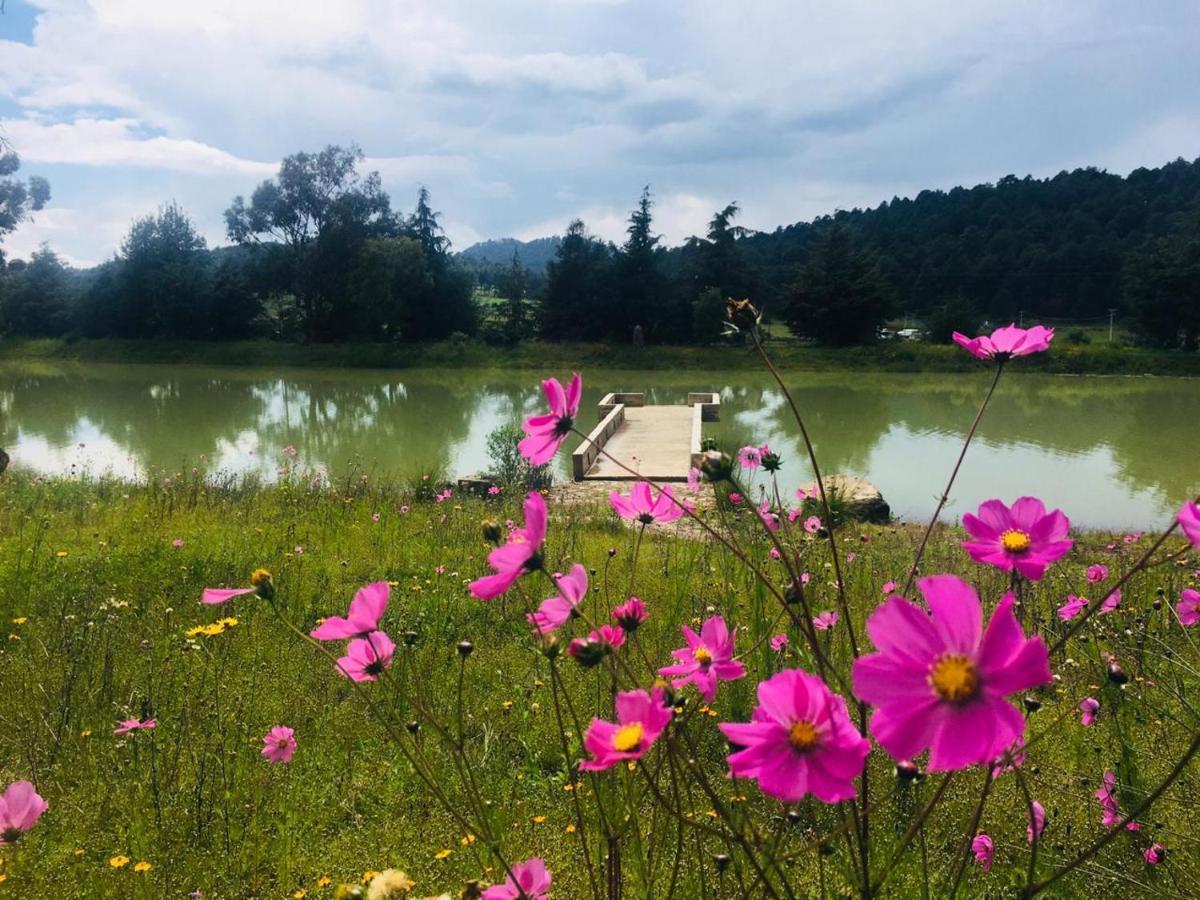 Cabanas Tapalpa Sierra Del Tecuan, Cabana Lince Εξωτερικό φωτογραφία