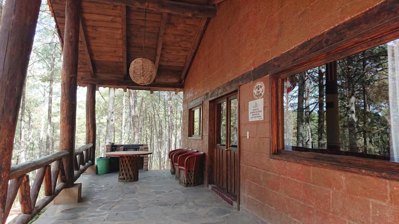 Cabanas Tapalpa Sierra Del Tecuan, Cabana Lince Εξωτερικό φωτογραφία