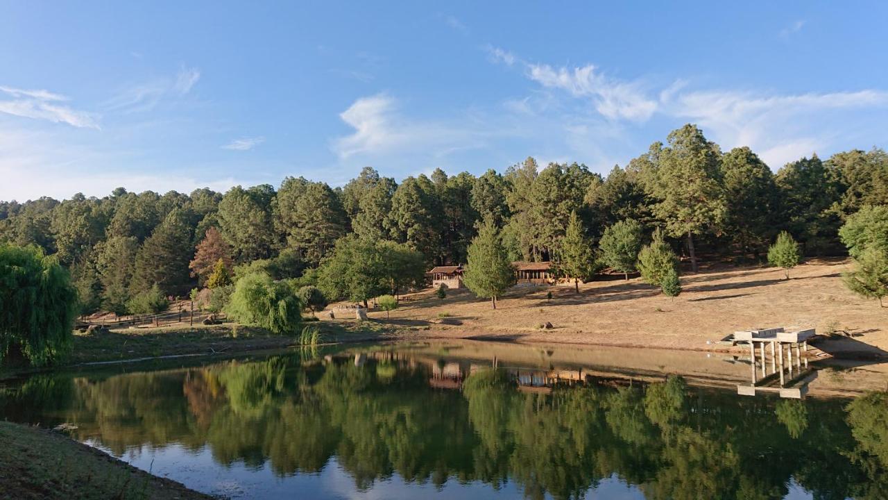 Cabanas Tapalpa Sierra Del Tecuan, Cabana Lince Εξωτερικό φωτογραφία