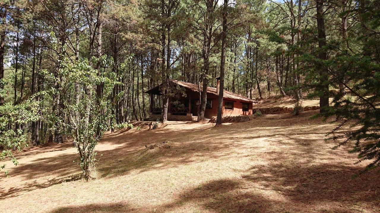 Cabanas Tapalpa Sierra Del Tecuan, Cabana Lince Εξωτερικό φωτογραφία