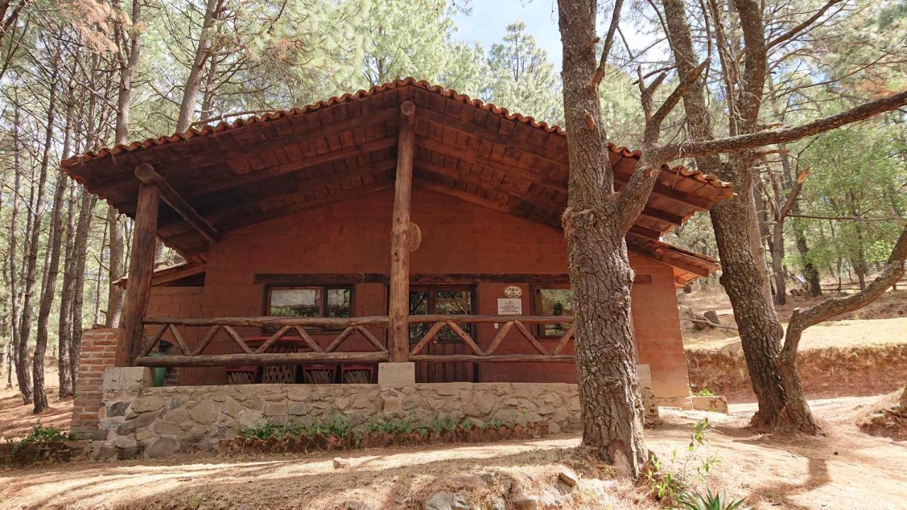 Cabanas Tapalpa Sierra Del Tecuan, Cabana Lince Εξωτερικό φωτογραφία