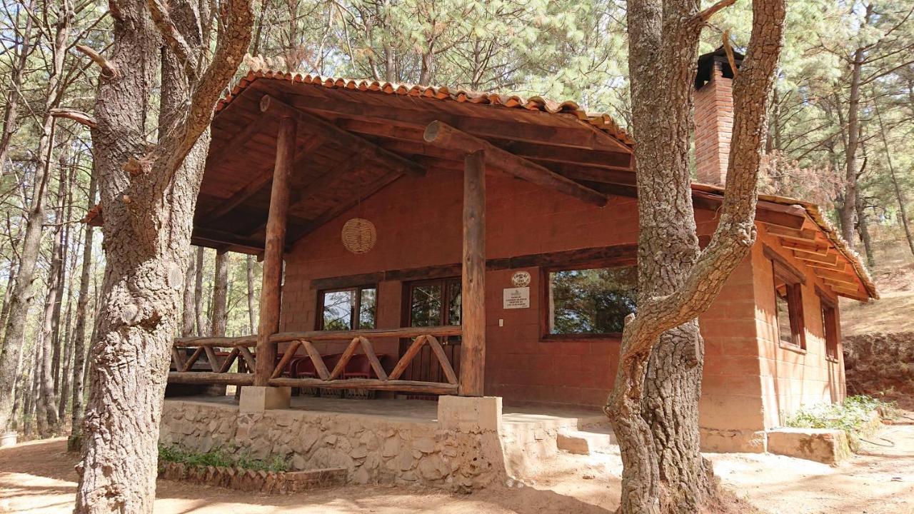 Cabanas Tapalpa Sierra Del Tecuan, Cabana Lince Εξωτερικό φωτογραφία